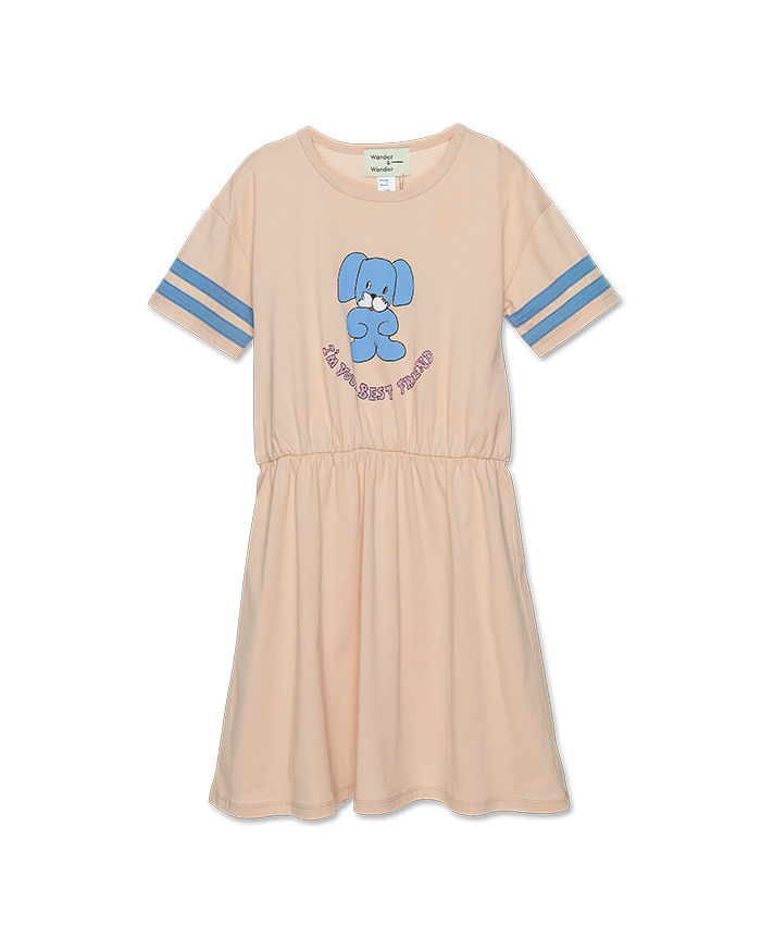 Baseball Dress