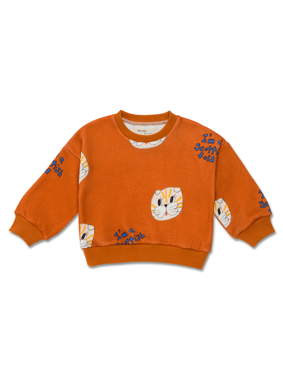 Baby Sweatshirt