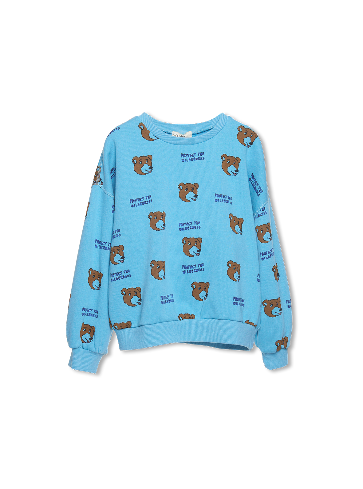 Bear Sweatshirt