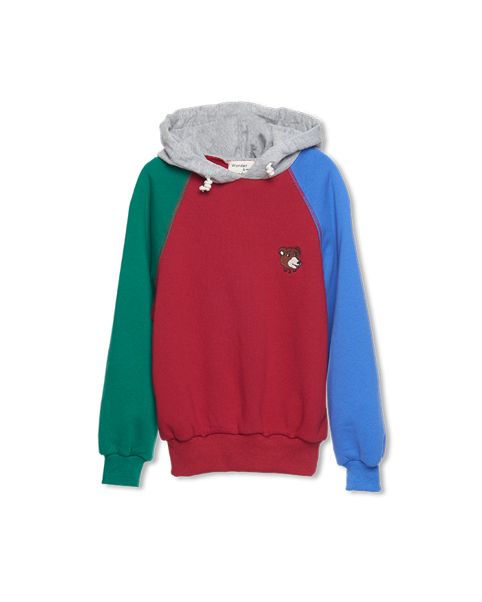 Multi Color Hoodie