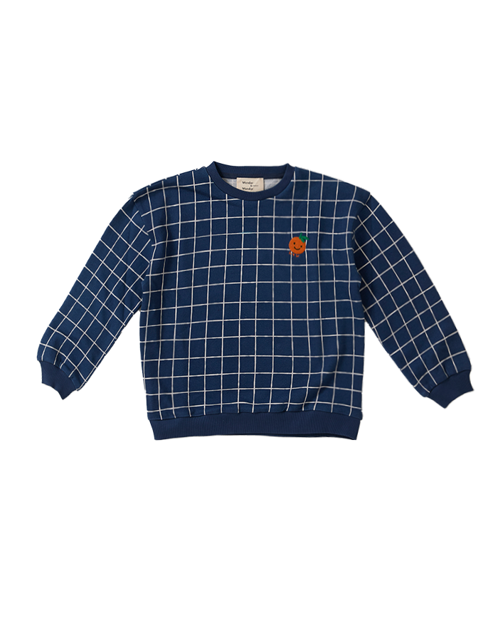 Check Sweatshirt